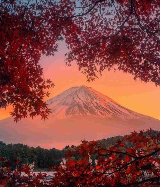 Tour Japan 7D Golden Route Autumn Edition