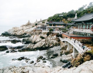 Winter New Year Tour 7D Korea Busan Seoul