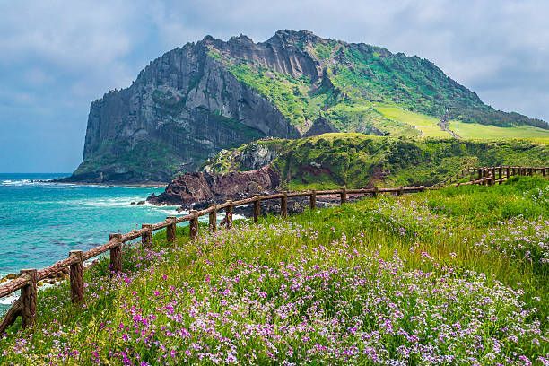 tour-korea-6d-explore-jeju-sorak-seoul-4-can-go-edition