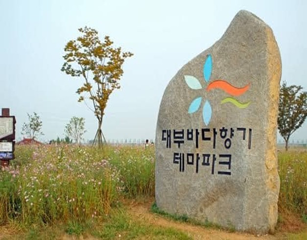 4 Can Go Tour 5D Nami Ansan Seoul 1