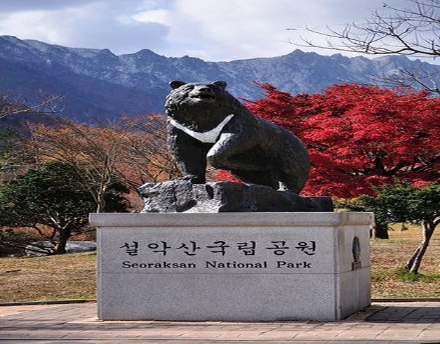 tour-6d-korea-mt-sorak-full-tour-land-tour-only