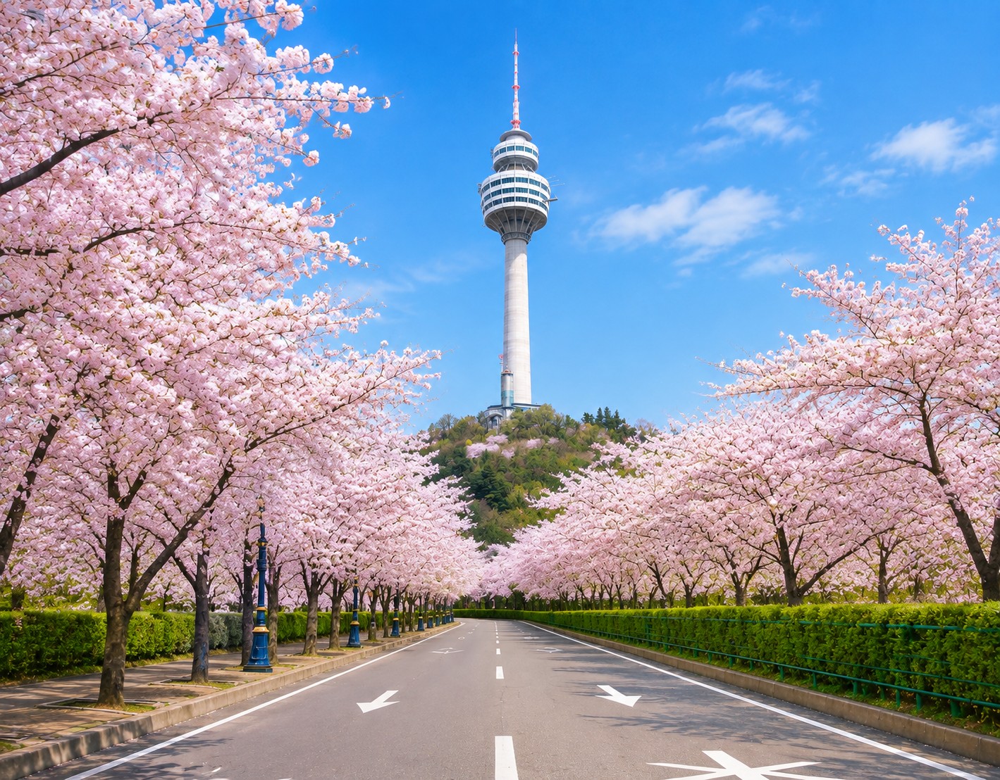 tour-6d5n-korea-mt-sorak-free-day-land-tour-only