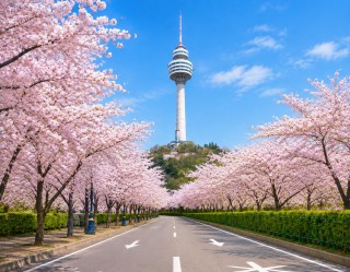 Tour 6D5N Korea Mt Sorak Free Day Land Tour Only