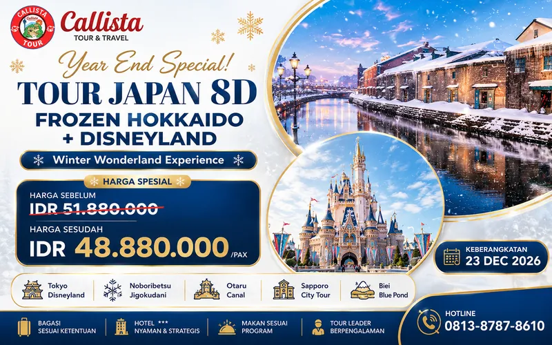 Tour Japan 8D Year End Frozen Hokkaido + Disneyland