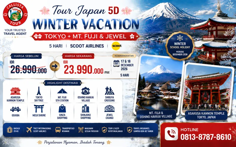 Tour Japan 5D Winter Vacation Tokyo + Mt. Fuji & Jewel 1