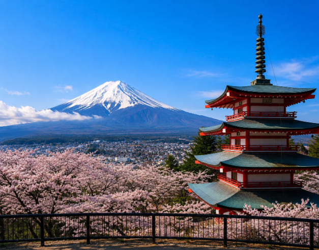 land-tour-private-tour-6d5n-golden-route-jepang