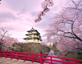  8D Japan Hokkaido - Lavender + Tomita Farm By ANA (WH08)