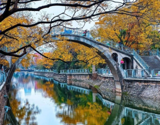 8D Best Saver Kunming Dali Lijiang Jianchuan