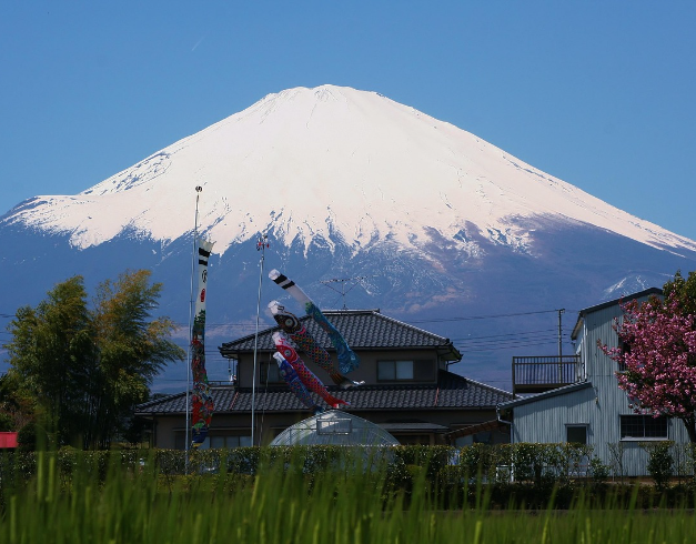 tour-japan-2025-7-hari-summer-school-holiday-moslem-friendly