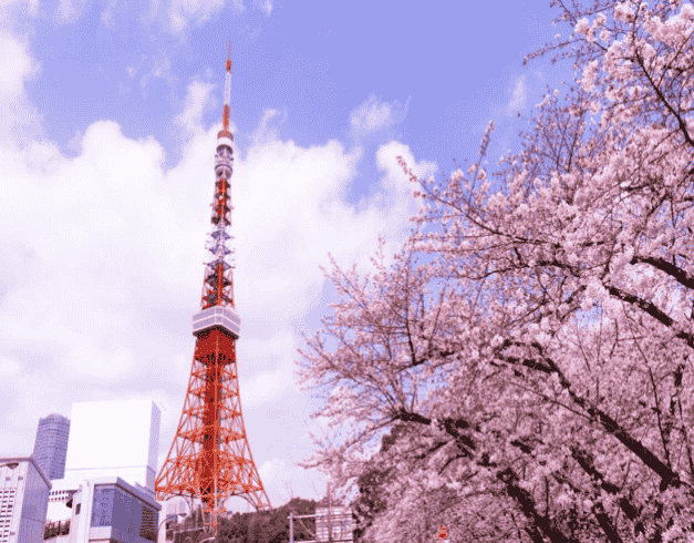 jepang-2026