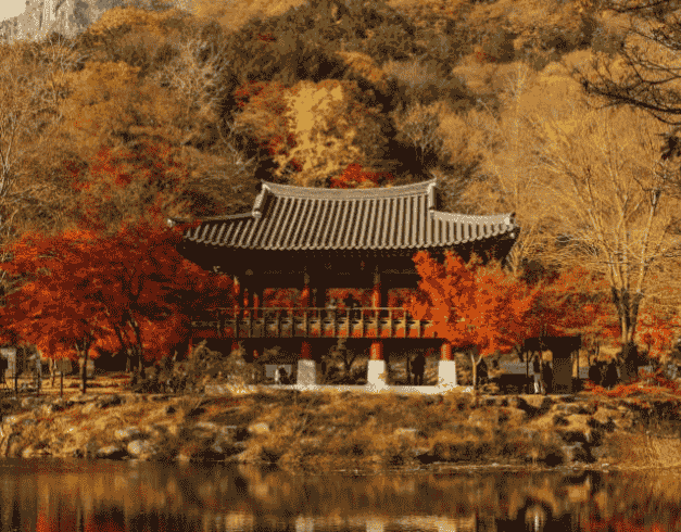 crazy-sale-korea