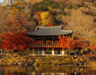 Paket Tour Korea 5D Crazy Sale 