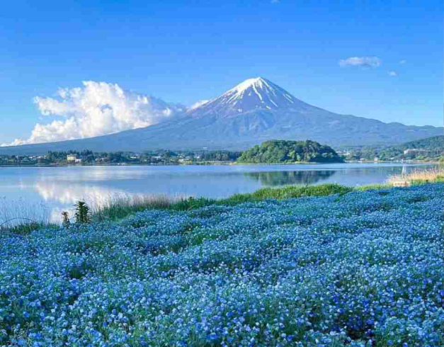 6d4n-tokyo-fuji-hakone-by-xiamen-airlines
