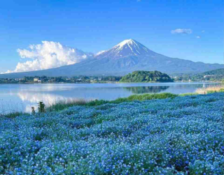 6D4N Tokyo Fuji + Hakone by Xiamen Airlines
