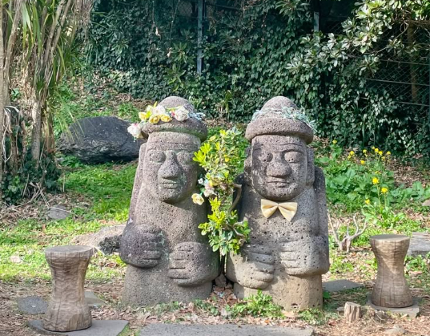 tour-korea-2026-7d-fantastic-blossom-korea-jeju-island