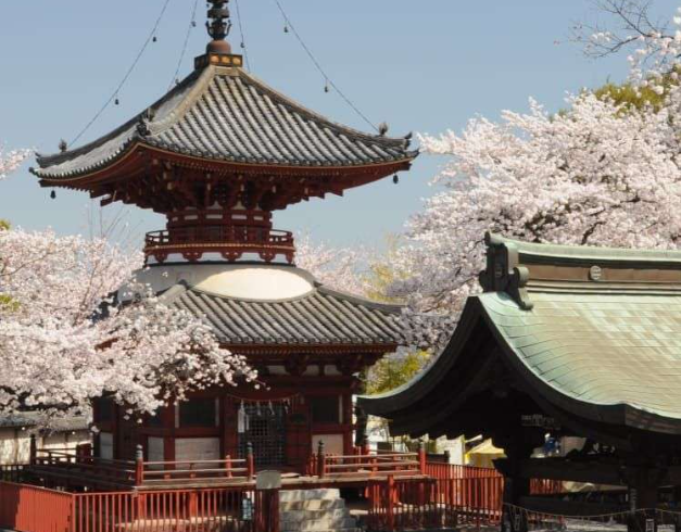 tour-japan-6d-kanto-tokyo-hakone-kimono