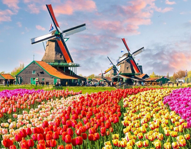 tour-winter-west-europe-new-year-edition-9d-2025