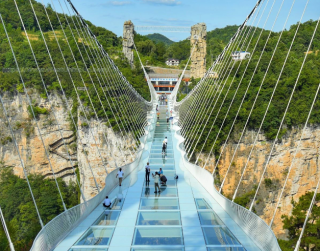 Trip China 2026 8D Best Deal Chongqing Zhangjiajie