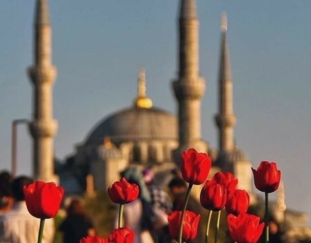 tour-turki-2026-10d-turki-tulip-one-day-free-in-istanbul