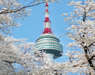Tour 5D Best Saver Seoul