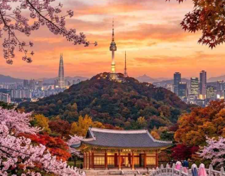 Tour Korea 4D Private Tour 3 Can Go Seoul + Lotte Theme Park
