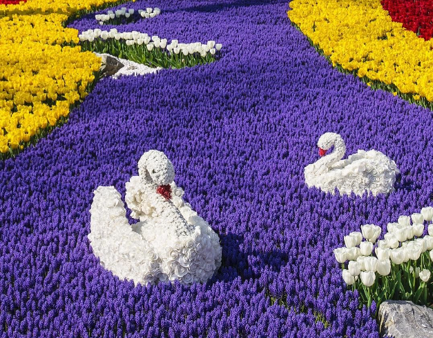 tour-turkey-10d-2026-special-tulip-free-day