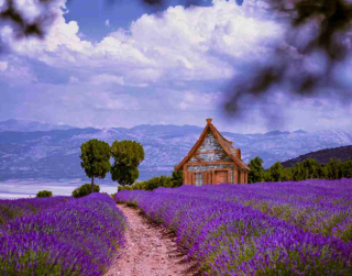 Tour Turkey 2026 10D Istanbul + Visit Lavender Garden