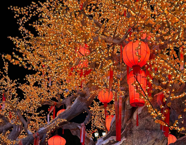 tour-china-10d-2026-beishan-double-theme-park-limited-seat