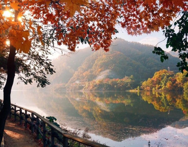 tour-korea-2025-6d-halal-tour-korea