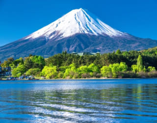 Best Deal Private 6 Can Go 4D Mt.fuji + Disneyland/disneysea