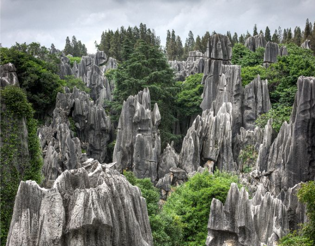 tour-china-9d-2025-kunming-shangrila-no-shopping-stop