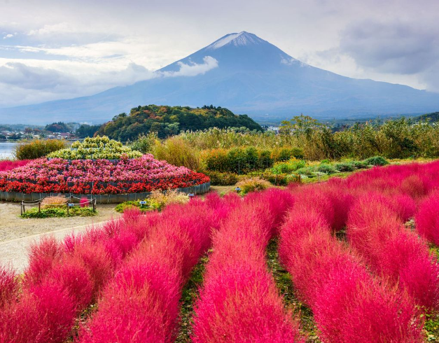 tour-japan-2026-7d-disneyland-tokyo-oishi-lebaran