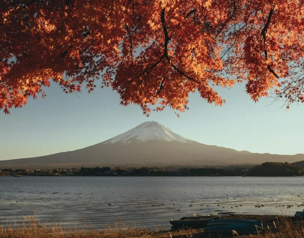 school-holiday-tokyo-disneysea-8d-by-mh-2026