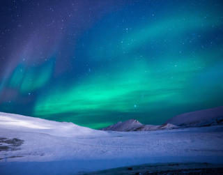Tour Russia 2025 8D Russia Aurora Hunting + St. Petersburg Christmas Holiday