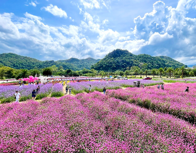 tour-thailand-2025-6d-christmas-bangkok-pattaya-khao-yai