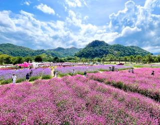 Tour Thailand 2025 6D Christmas Bangkok - Pattaya + Khao Yai 