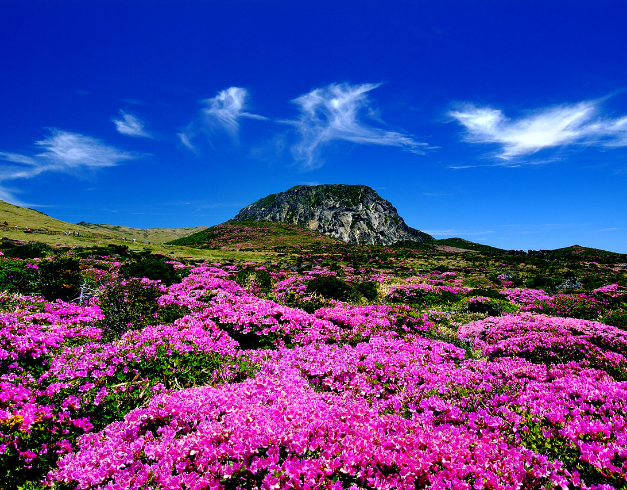 promo - tour - murah - korea - nami - island - jeju