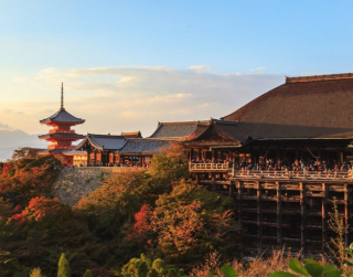 Tour Japan 7D 2025 Osaka – Kyoto – MT Fuji Low Season 