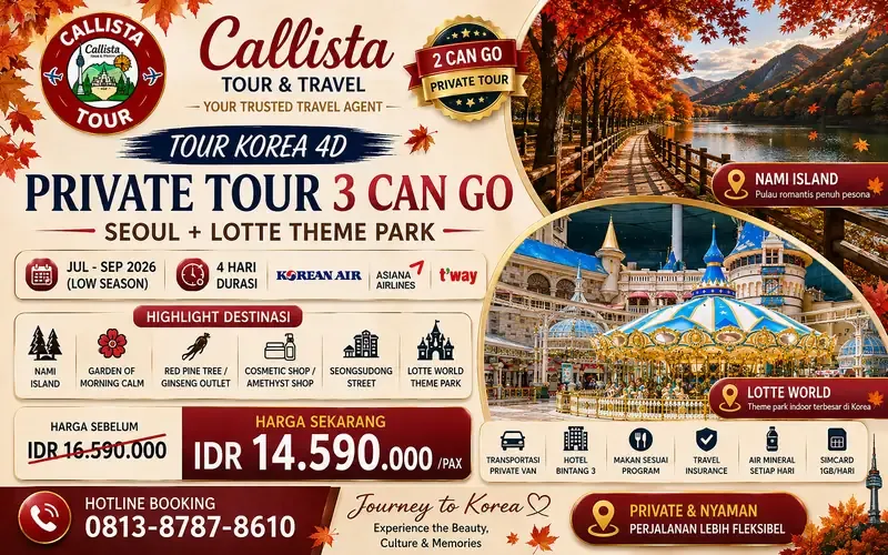 Tour Korea 4D Private Tour 3 Can Go Seoul + Lotte Theme Park