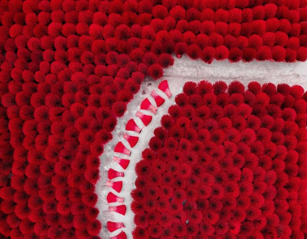 Tour Vietnam 2025 - 2026 