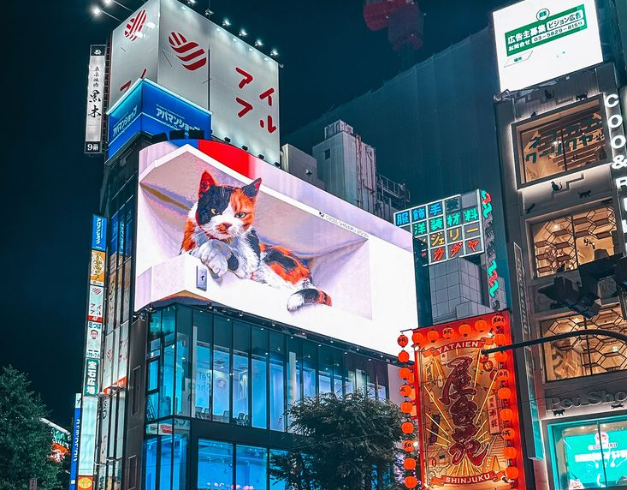tour-jepang-2025-8d-new-year-holiday-japan-moslem-friendly-winter-golden-route
