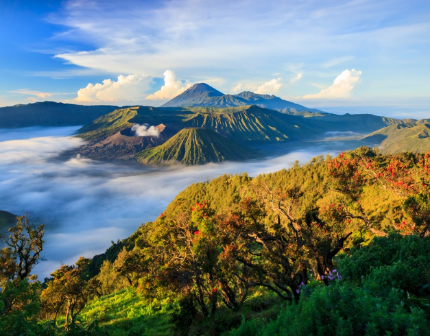 PROMO - MURAH - TOUR - MALANG