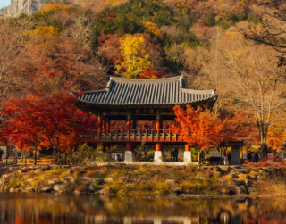 Paket Tour Korea 5D Crazy Sale