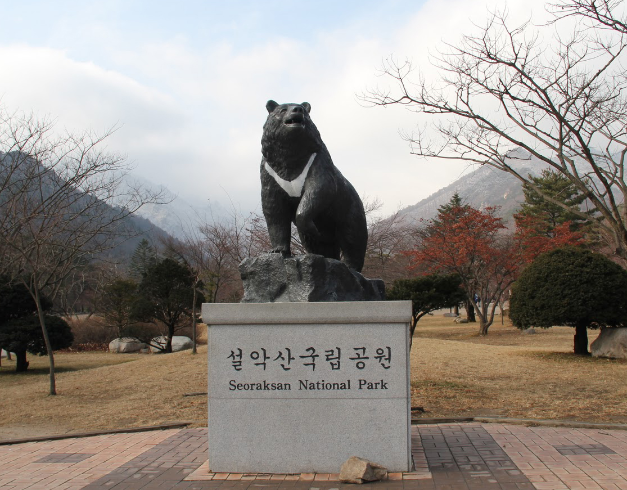 promo - tour - murah - korea 