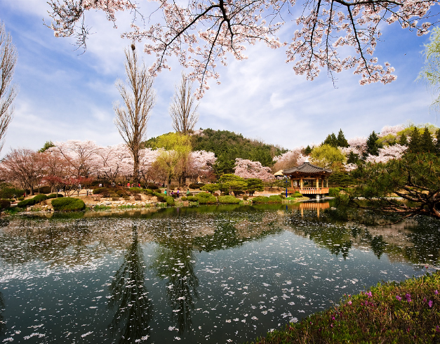 promo - tour - korea - murah - cuma - di - callista - tour