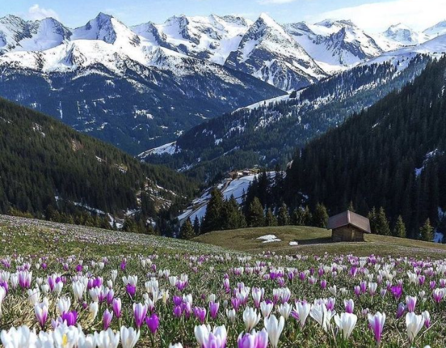 tour-china-2026-6d-best-saver-chongqing-jinfoshan-winter-snow