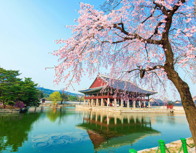 tour - promo - murah - korea 