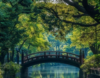 Tour Japan 7D 2026 Special Long Weekend Shirakawago