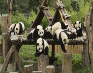9D Jiuzhaigou Chengdu