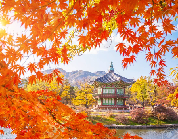 promo - tour - murah - korea - autumn